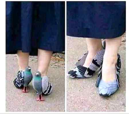 ...Omg 😱😱😱...