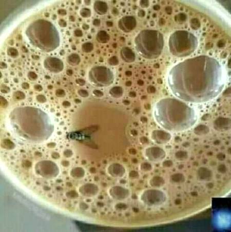 Is chai mi giri hoi mkhi ko zom krk dekhy is my Pakistan k ak dushman ki pic hi AGR nzr at to comment my oska nam likhy