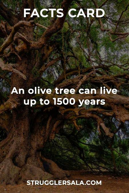 DID YOU KNOW??