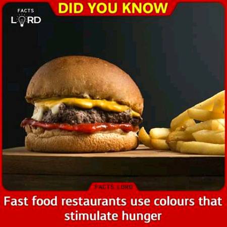 Unbelievable facts 💥💥