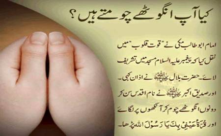 🌹🌹🌹صلی اللہ علی حبیبہ محمد نور من نوراللہ وعلی آلہ واہل بیتہ وعترتہ وازواجہ وصحبہ وجدہ وذریتہ و کل امتہ وبارک وسلم کثیراً کثیرا و دائماً ابدا 🌹🌹🌹