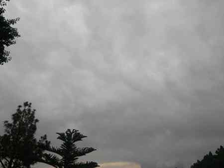 Rain Rain Rain. .... . . Please come again 🤗