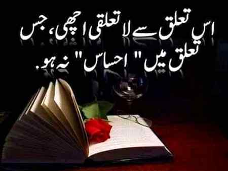 •||•^°°°^•||•