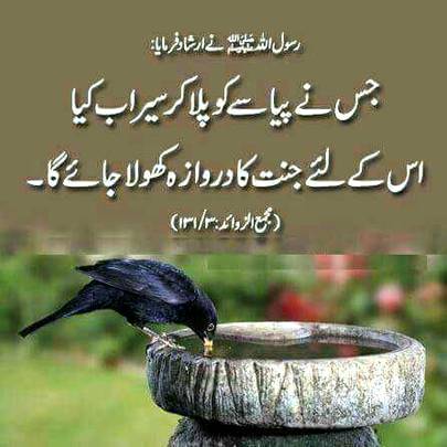 Hadith...