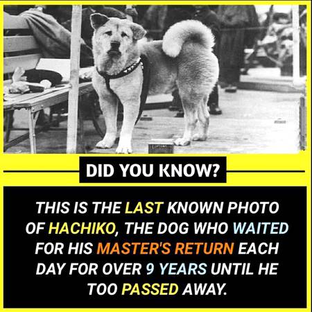 did you know