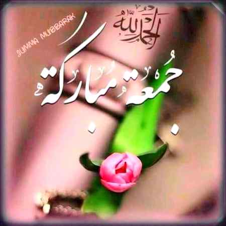 AssaLaM o AlaiKuM