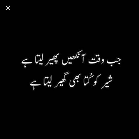 Bilkul...!