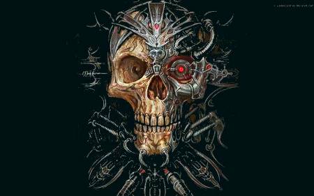 Skull.....