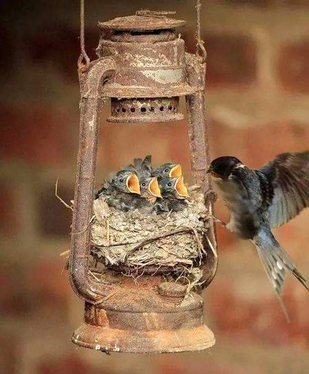 جس چیز کو انسان بے کار سمجھ کر پھینک دیتا ہے وہ کھبی دوسروں کے لیے زندگی جینے کا باعث بن جاتی ہے🌹🌹