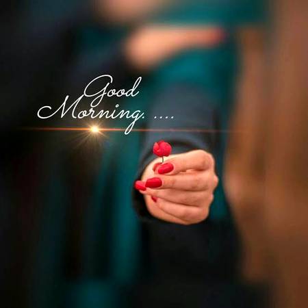 All Damadam users ❤Have a nice day