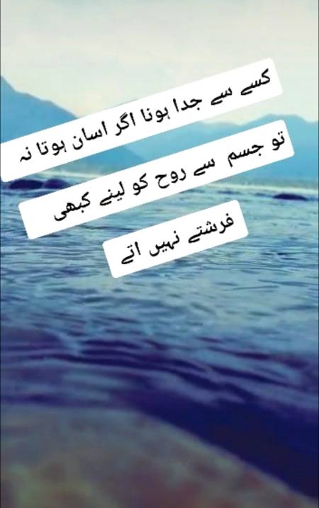 Shah Jee......😘😍😘😍😘😍😘😍😘