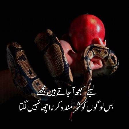Haan Lehjay Samjh Aaty Hyn Hmko😔😕😕