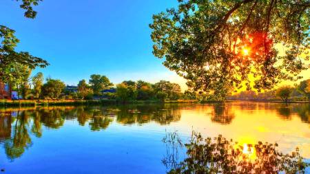 Spring reflection