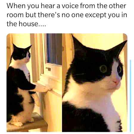 That moment 😨