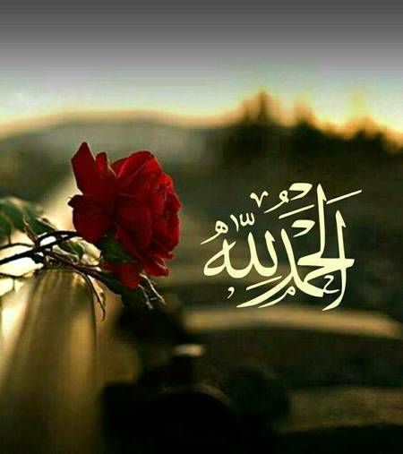 جو تھا، اچـھا تھا جو ہے، بہـــــتر ہے جو مِلے گا، بہتـــــرین
ہو گا  بس شُکر ادا کرنا سیکھئیے