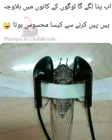 Had ho gai...🙃🙃🙃