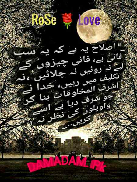 👍🌹👍RIGHT👍🌹👍