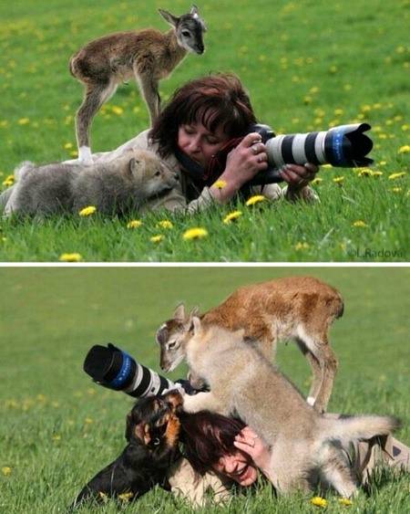Wow..amazing..❤