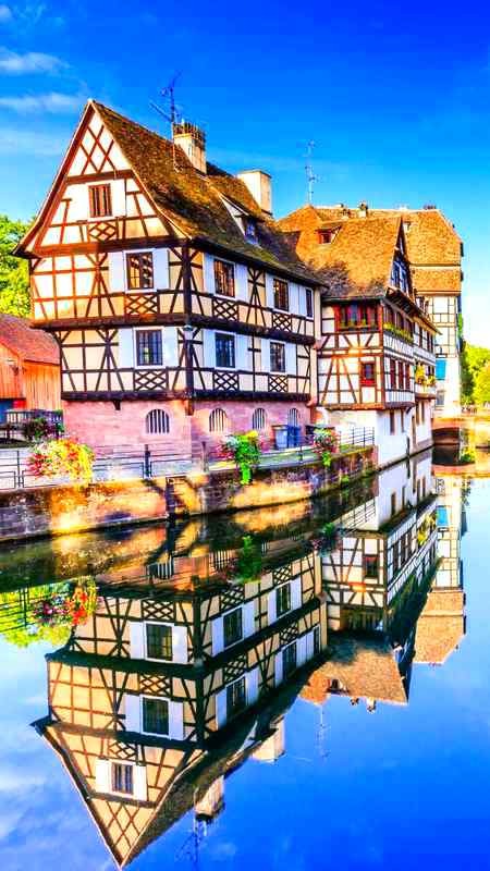 Beautiful wallpaper 💯