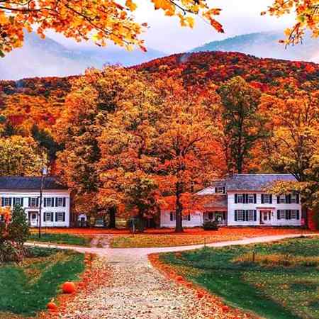 The beauty of nature