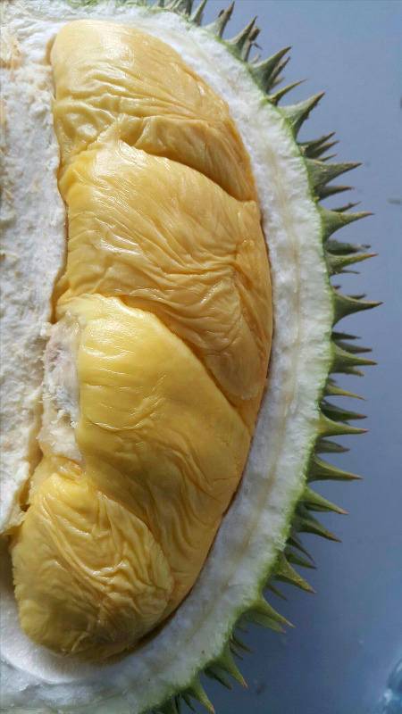 Inside bibit durian like this