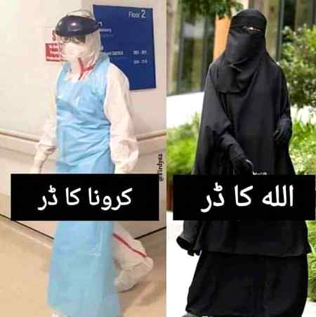 👍👍👍RIGHT 👍👍👍
