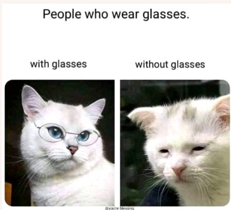 Kon kon pehnta a? Glasses 👓