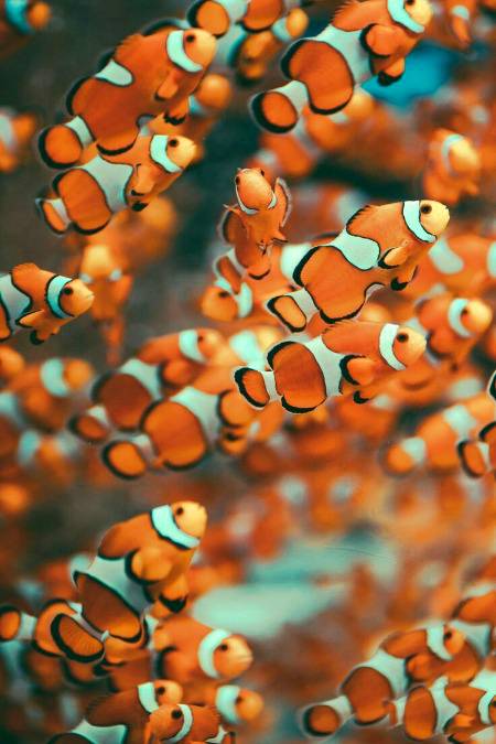 In a group you are the unique one