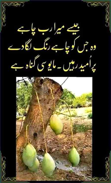 ❤❤ BASHAK ❤❤