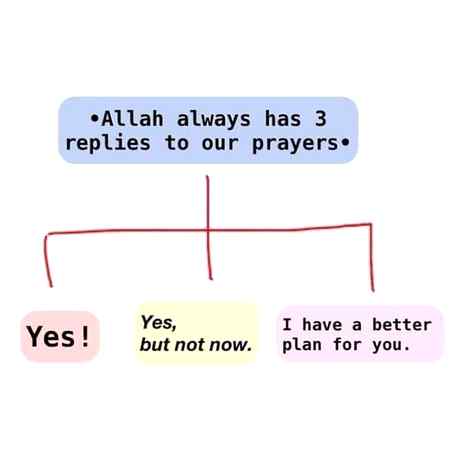 Indeed Allah is the best planner..❤