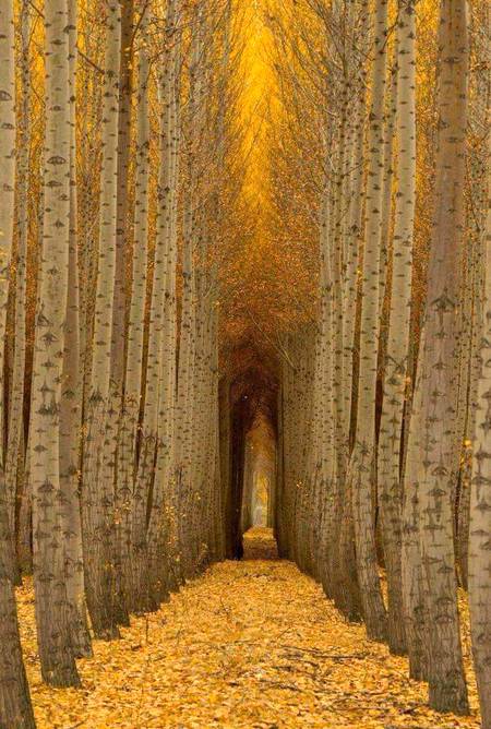 Fall in Boardman, Oregon 😍😍