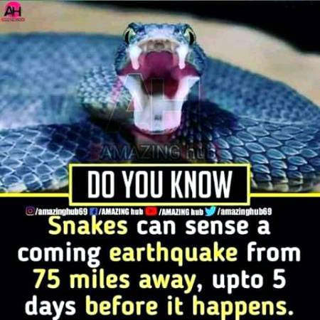 Did you know?