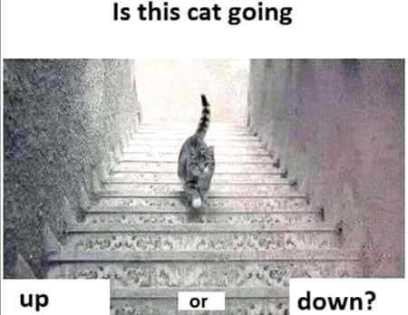 Another challenge friends👈