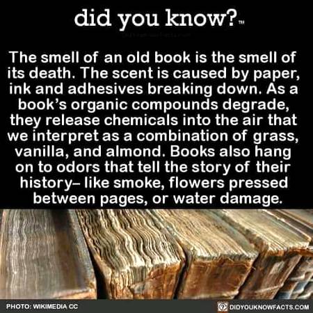 Did you know?