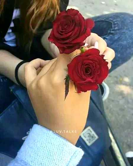 ❤❤❤💕💕💖💖💖