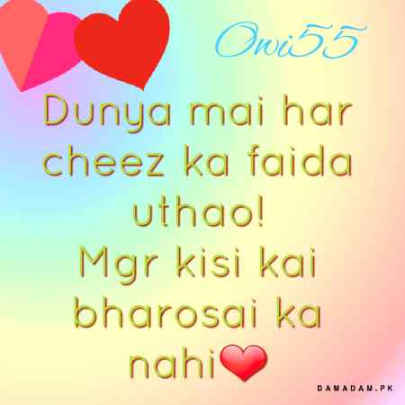 True✔✔💯💯