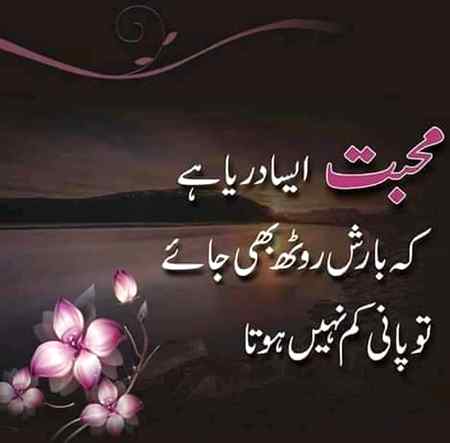 hlo friends