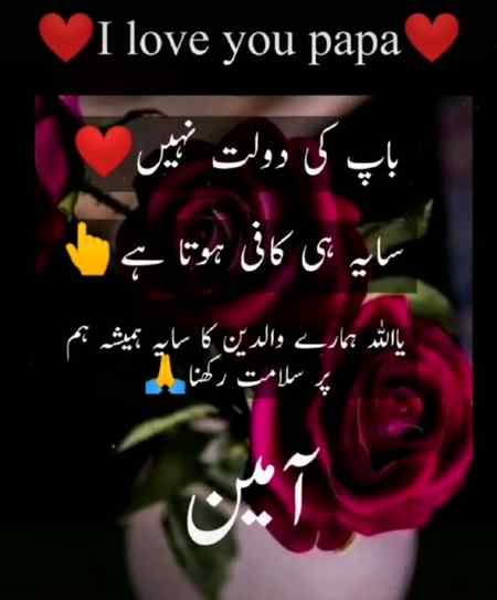 Asalam o aleekum friends I am right