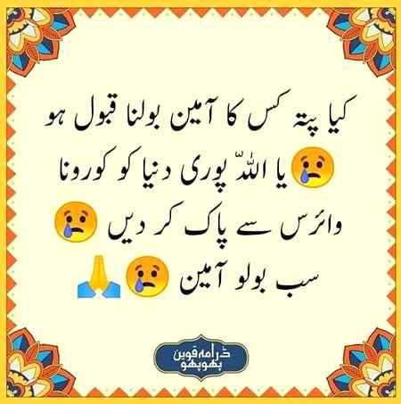 Hlo friends