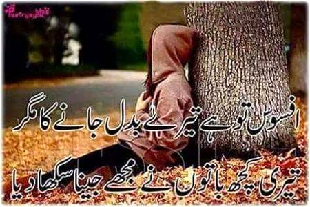 Jieena seekha dyaa.. K jeena haram kr deya.. Khair shukrya jnab