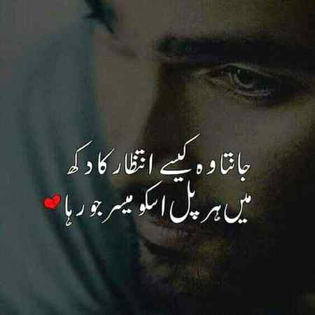 🍁Zoq_Shab🍁