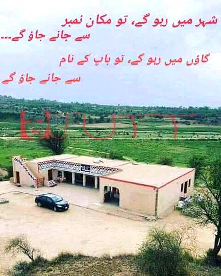 Ladla Jutt