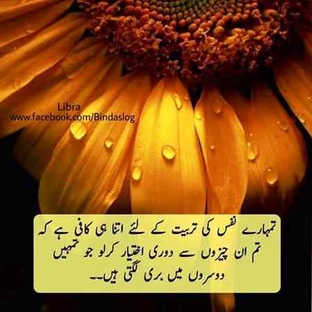 Best advice💞💕💕💕