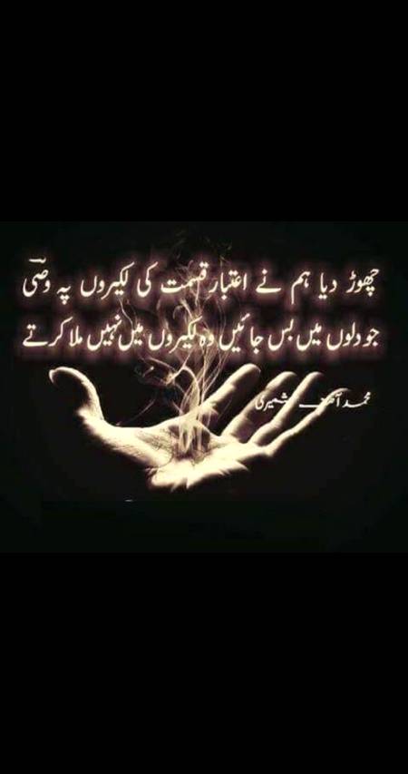 🌹❤🌹❤❤🌹❤🌹🌹❤🌹❤🌹❤🌹❤