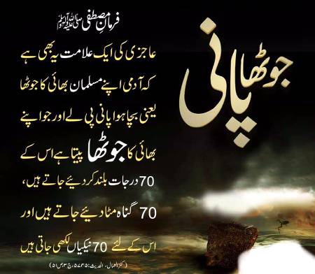 🌹🌹🌹صلی اللہ علی حبیبہ محمد نور من نوراللہ وعلی آلہ واہل بیتہ وعترتہ وازواجہ وصحبہ وجدہ وذریتہ و کل امتہ وبارک وسلم کثیراً کثیرا و دائماً ابدا 🌹🌹🌹