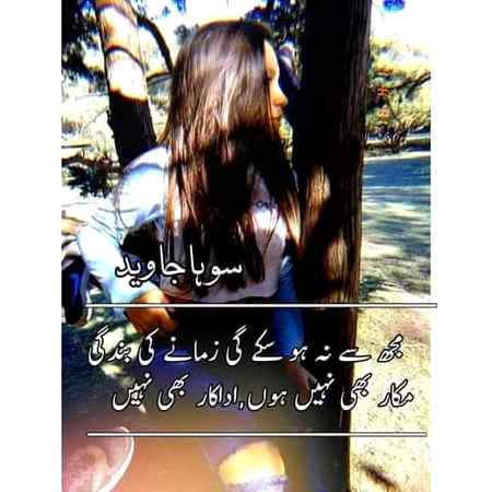 •||•^°°°^•||•