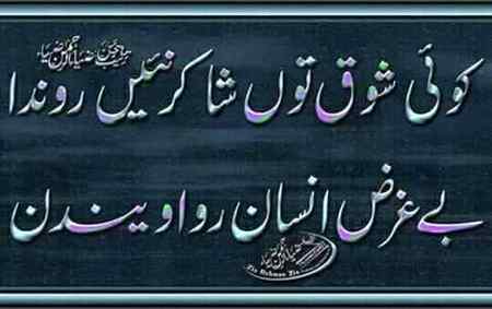 hlo friends