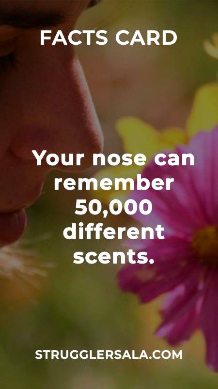 You should know that about your nose