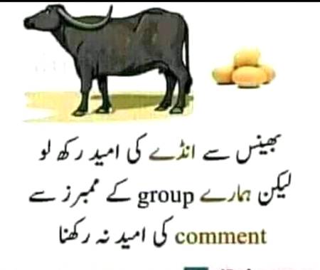 Hmm suchii🙁