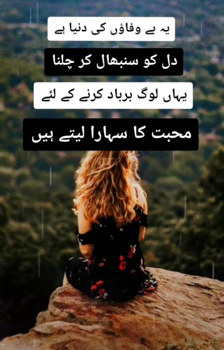 (╯︵╰,).   (´;︵;`)